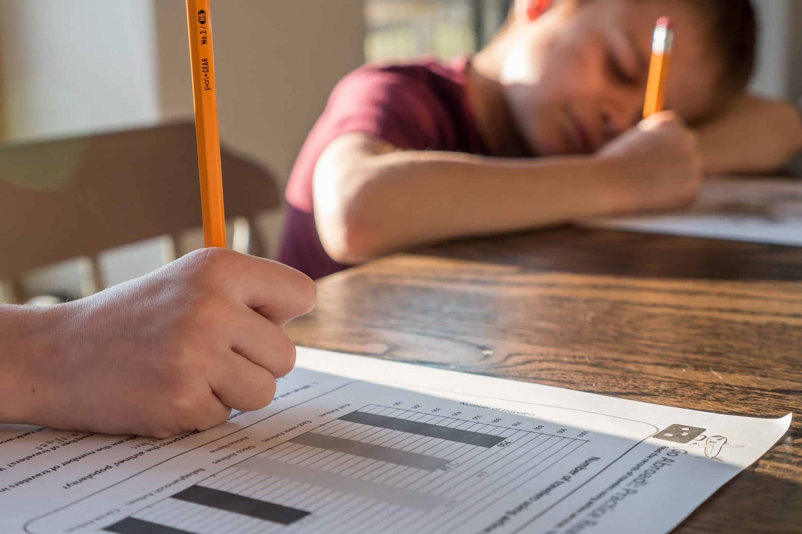 Homeschooling